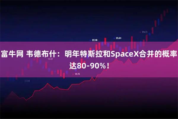 富牛网 韦德布什：明年特斯拉和SpaceX合并的概率达80-90%！